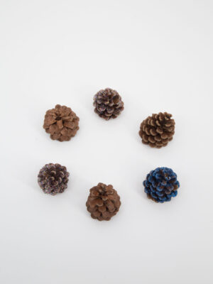 Sacco di Pigne con Glitter - 50 Pezzi