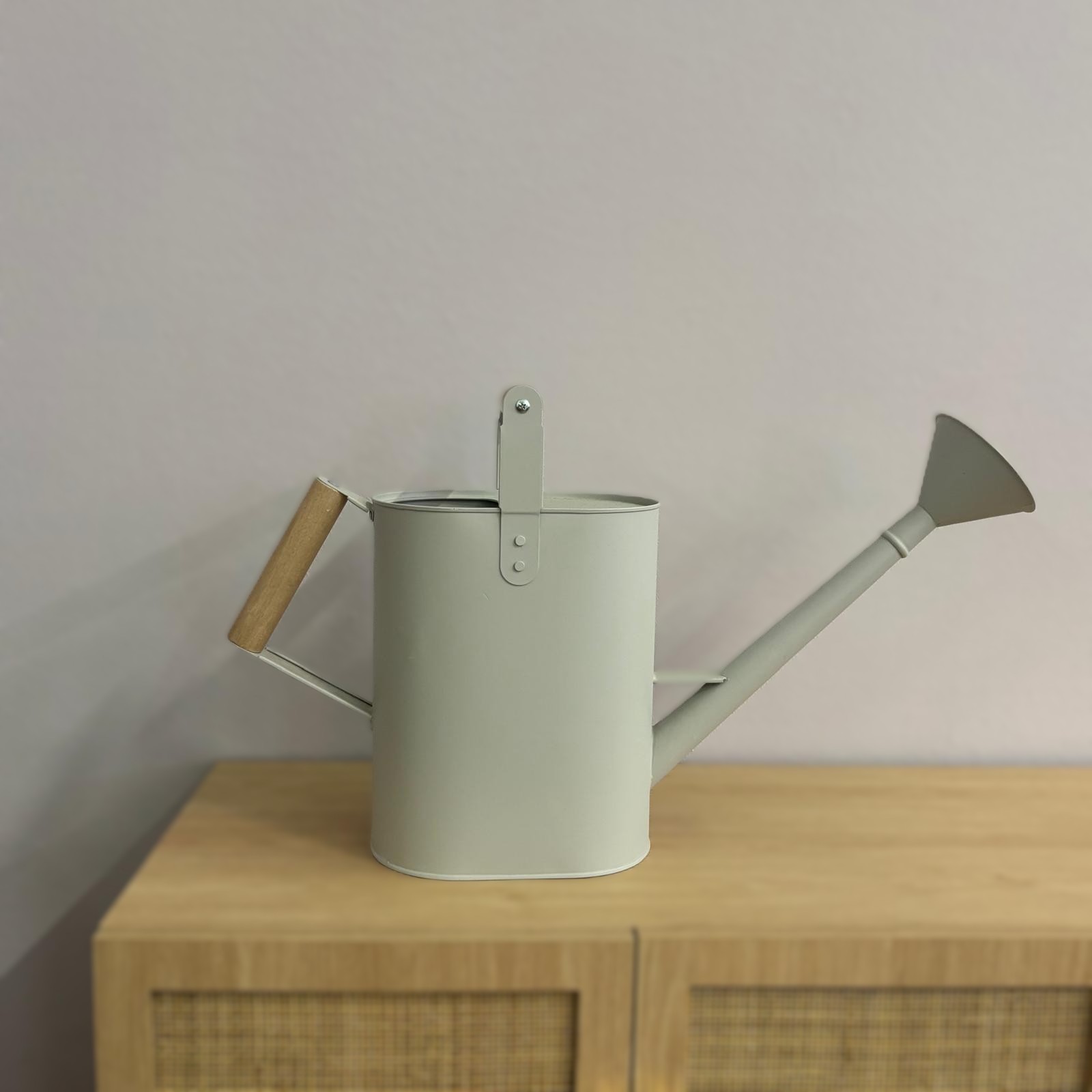 Annaffiatoio moderno in metallo grigio chiaro con corpo rettangolare, beccuccio lungo e manico laterale in legno, su mobile in legno.