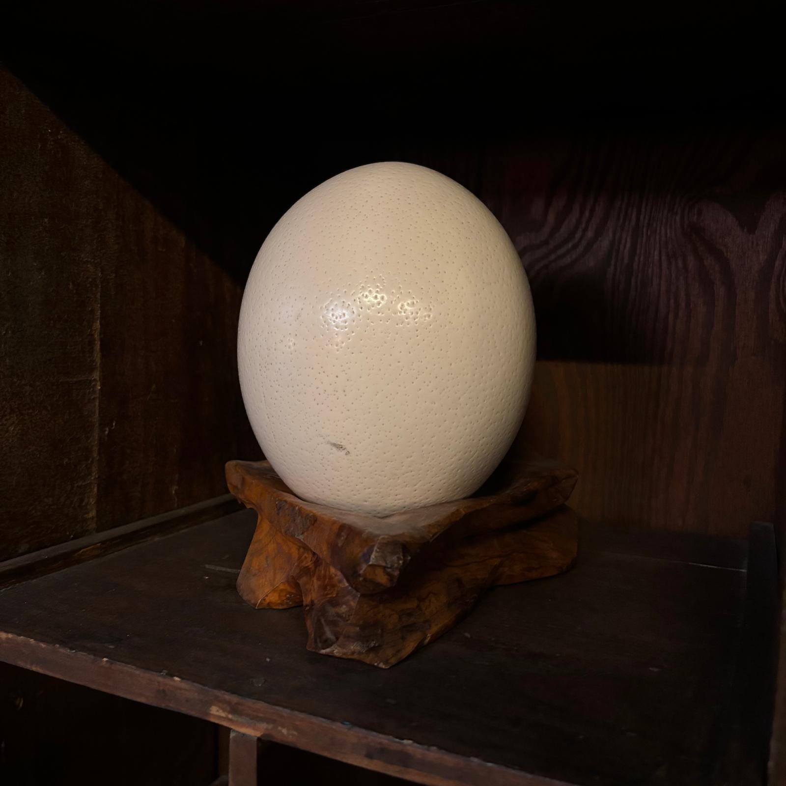 Uovo di struzzo bianco crema con texture puntinata, posizionato su un supporto di legno scuro intagliato, su una mensola.